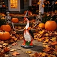 thumbnail image 6 of Halloween Porch Goose Outfit Witch Geese Costume 23 Inch for Yard Lawn Outdoor Garden Patio, 6 of 6