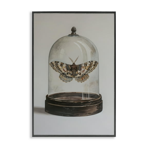 Stupell Industries Moth in Glass Cloche Animals Painting Black Framed Art Print Wall Art, 12 x 18