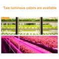 thumbnail image 4 of Joernso 30cm IP20 Waterproof LED Grow Light High Brightness Wear-resistant Practical Plant Growing Lamp for Plants, 4 of 8
