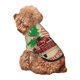 thumbnail image 5 of Fotbe Christmas Vintage Red Truck Sudadera con Estampado para Perros Pequeños – Suéter con Capucha para Mascotas, Tela Suave de Forro Polar con Bolsillo-Medium, 5 of 7