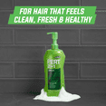 Pert 2in1 Complete Clean Shampoo & Conditioner, for All Hair Types