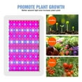 thumbnail image 5 of 4000W Grow Light Full Spectrum Lamp For Plants, 5000W Phyto Light Greenhouse UV Lamp Plants Seeds Veg LED Fitolamp ,Full Spectrum, 5 of 7