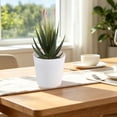 thumbnail image 4 of Fake Plants Realistic Lifelike Artificial Potted Plants Small Plastic Mini Plants with Pot for Home Office Desk Table Kitchen Indoor Decor 3.54 X 2.36 X 2.36 Inches 1 Piece, 4 of 5