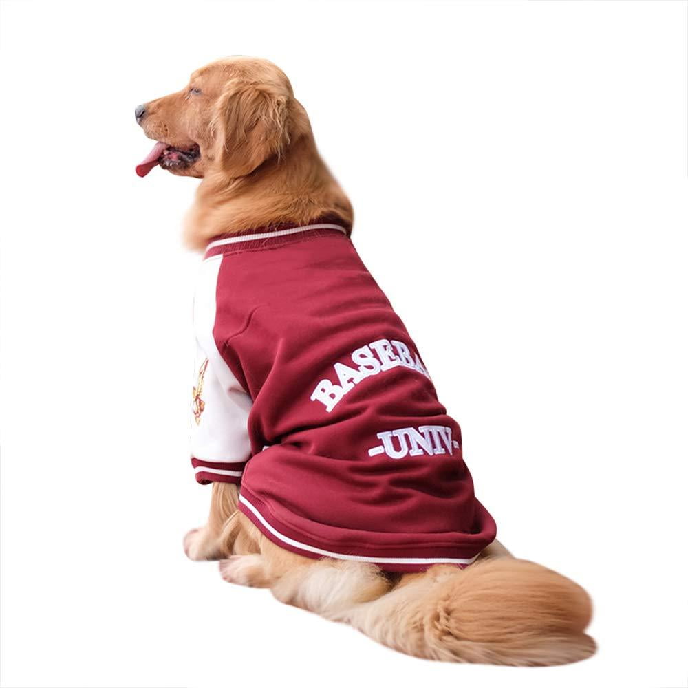 Boston Red Sox MLB Dog Varsity Jacket