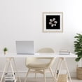 thumbnail image 3 of Stupell Industries Contemporary Oyster Shells Symmetry Birch Framed Print Under Glass, 13 x 13, by Beth Adoette, 3 of 8