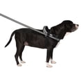 thumbnail image 3 of Canada Pooch, Re-Direct Harness - Black/Grey, 3 of 4