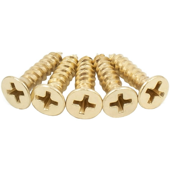 Door Hinge Screws, #9 x 3/4", 600-Pack, Polished Brass by Stone Harbor Hardware