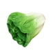thumbnail image 5 of Vegetal artificial realista, simulación decorativa, exhibición de vegetales. Lechuga, 5 of 9