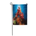 thumbnail image 1 of POGLIP Drapeau de Jardin Décoratif Récif Rouge Poisson Corail et Océan Bleu Bannière de Maison 12x18 Pouces, 1 of 1
