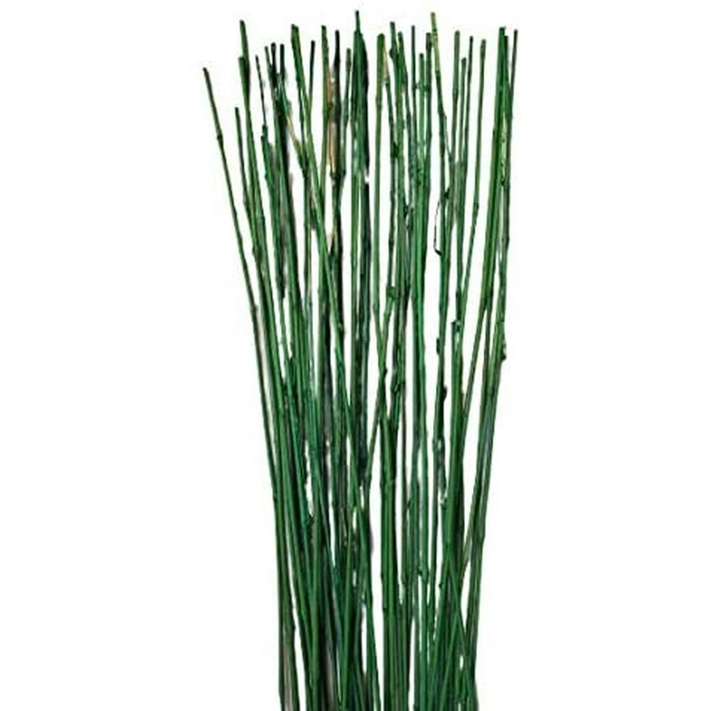 Natural Thin Bamboo Stakes About 6 Feet Tall Pack of 20 (Natural