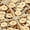 Gold, variant on Women Sequin Shawls and Wraps for Evening Dresses Fringed Sparkly Dressy Scarf for Wedding Party Gold 66.9"x19.7"