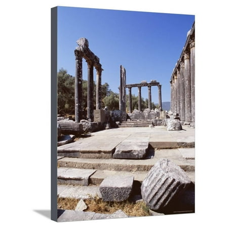 Ruins of the Temple of Zeus, Archaeological Site, Euromos, Near Bodrum, Anatolia, Turkey Stretched Canvas Print Wall Art By R H