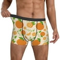thumbnail image 3 of Men's Boxer Briefs, Juicy Orange Green Leaves Soft Comfy Mens Underwear Boxer Briefs Breathable With Widen Waist, 3 of 7