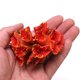 thumbnail image 3 of 1 pieza de adorno de coral de poliresina, decoración de coral para acuario, 3 1/10" x 2 1/3" x 1 9/10" para decoración de acuario de pecera, 3 of 5