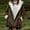 A_ Brown, variant on Olyvenn Women Hoodies Fleece Jackets Soft Fuzzy Long Hoodie Sweatshirt Casual Sherpa Hoodies Horn Button Coats Winter Coffee L