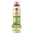 thumbnail image 1 of Old Spice Whole Body Deodorant for Men, Total Body Deodorant, Fiji, Aluminum Free Spray for 24/7 Freshness, 1 of 20