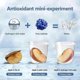 thumbnail image 4 of Hydrogen Water Bottle, Rechargeable Hydrogen Water Generator, Portable Hydrogen Water Ionizer Machine For Home Office Travel, 4 of 4