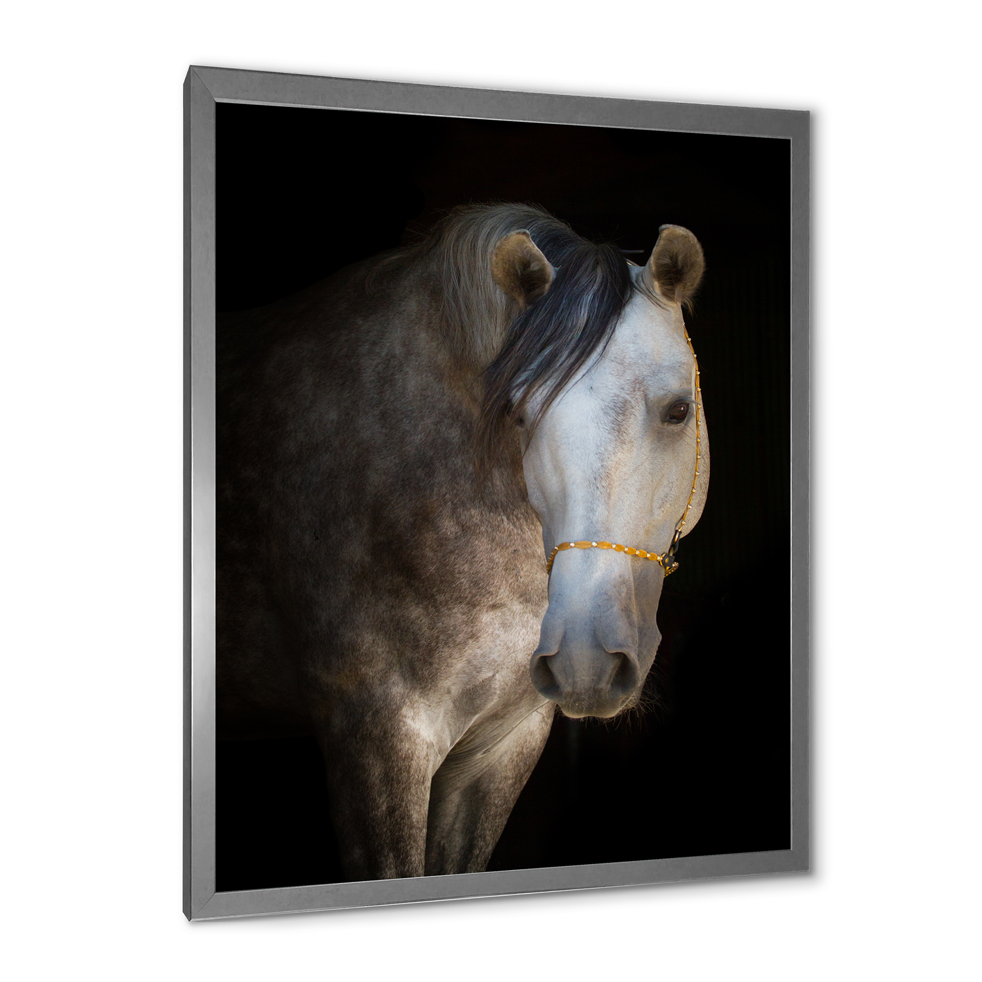 Designart 'Close Up Portrait Of A White Horse' Farmhouse Framed Art Print