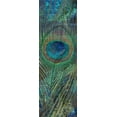 thumbnail image 2 of Prime, Marcus 7x14 Black Ornate Wood Framed with Double Matting Museum Art Print Titled - Urban Peacock 2, 2 of 4