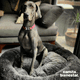 thumbnail image 2 of Camita Bienestar Cama Redonda Antiestrés para Perros Doble Vista Memory Foam Jumbo 110cm Gris, 2 of 2