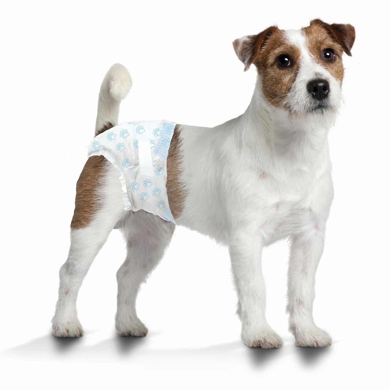 Wee-Wee Disposable Diapers