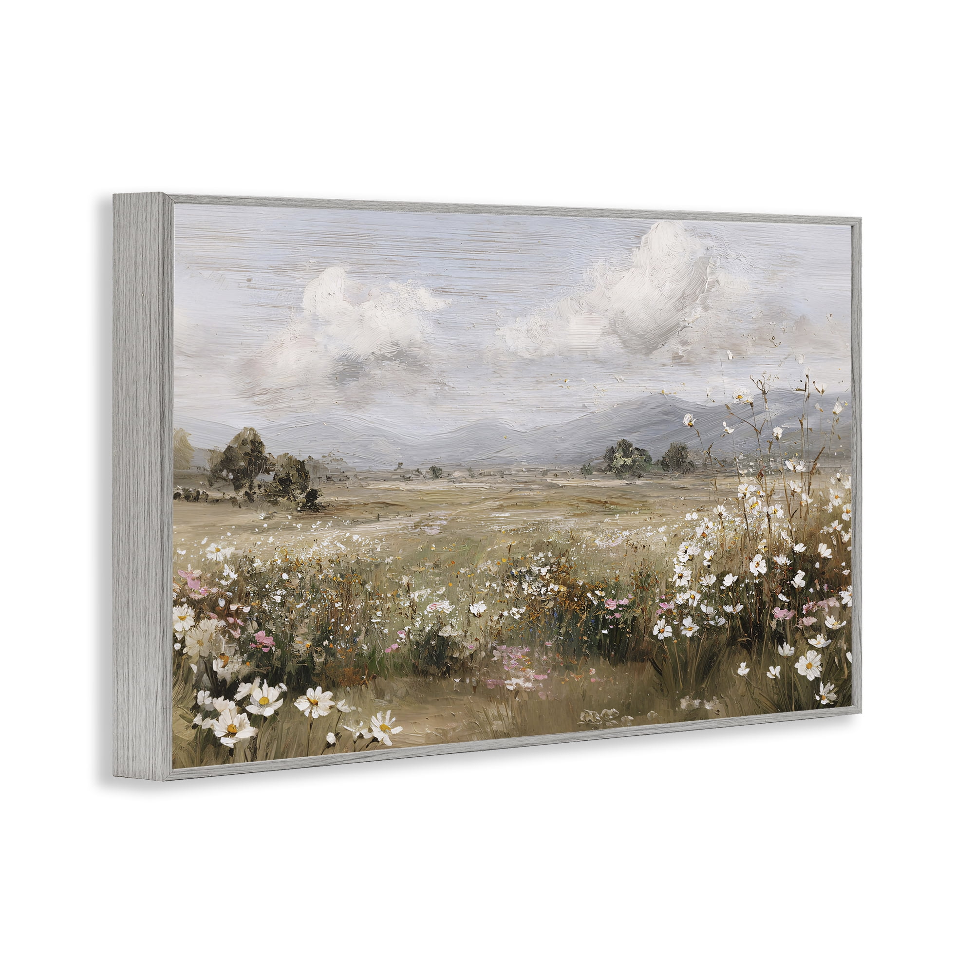Stupell Industries Daisy Clusters in Field Gray Framed Giclee Art, design by Jacky Ngan