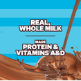 thumbnail image 5 of Feastables Protein Fortified Chocolate Milk, Shelf-Stable, 8 fl oz, 6 Pack, 5 of 10