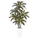 thumbnail image 1 of QinaQin Árbol artificial Dracaena de 4, 5 o 6 pies, hojas real touch y troncos multitonales, con maceta blanca alta para decoración interior, 1 of 8