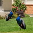 thumbnail image 4 of Outdoor Peacock Statue Garden Decor for Outside Metal Yard Art Outdoor Decoration for Lawn Backyard Party Wedding for Women, 4 of 7
