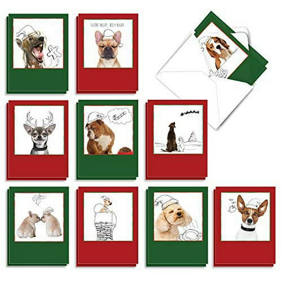 The Best Card Company - 20 Blank Christmas Note Cards (10 Designs, 2 Each) - Bulk Holiday Notecard Set (4 x 5.12 Inch) - Holiday Dogs and Doodles AM6582XSB-B2x10