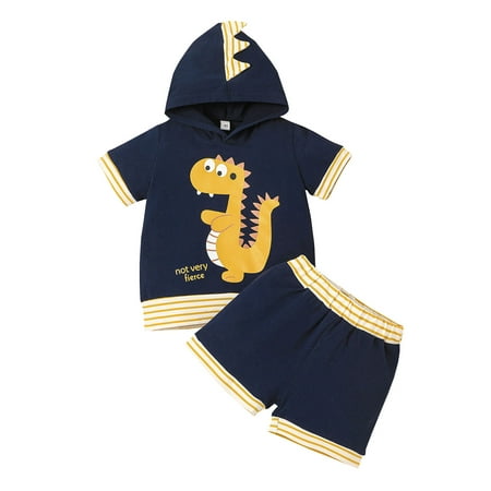 

XINSHIDE Toddler Baby Boys Girls Set 1Y-5Y Short Sleeve Cartoon Dinosaur Hooded T-Shirt Tops Shorts Sports Outfits Baby Clothes