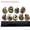 #10 lridescent Ammonites (1.5-..., variant on HOOUN 1x Mini Natural Teaching Specimen Teeth Brachiopod Spines Ammonites Plant-#19 Sea Urchins (3-4cm)-1PC (Random Pick)