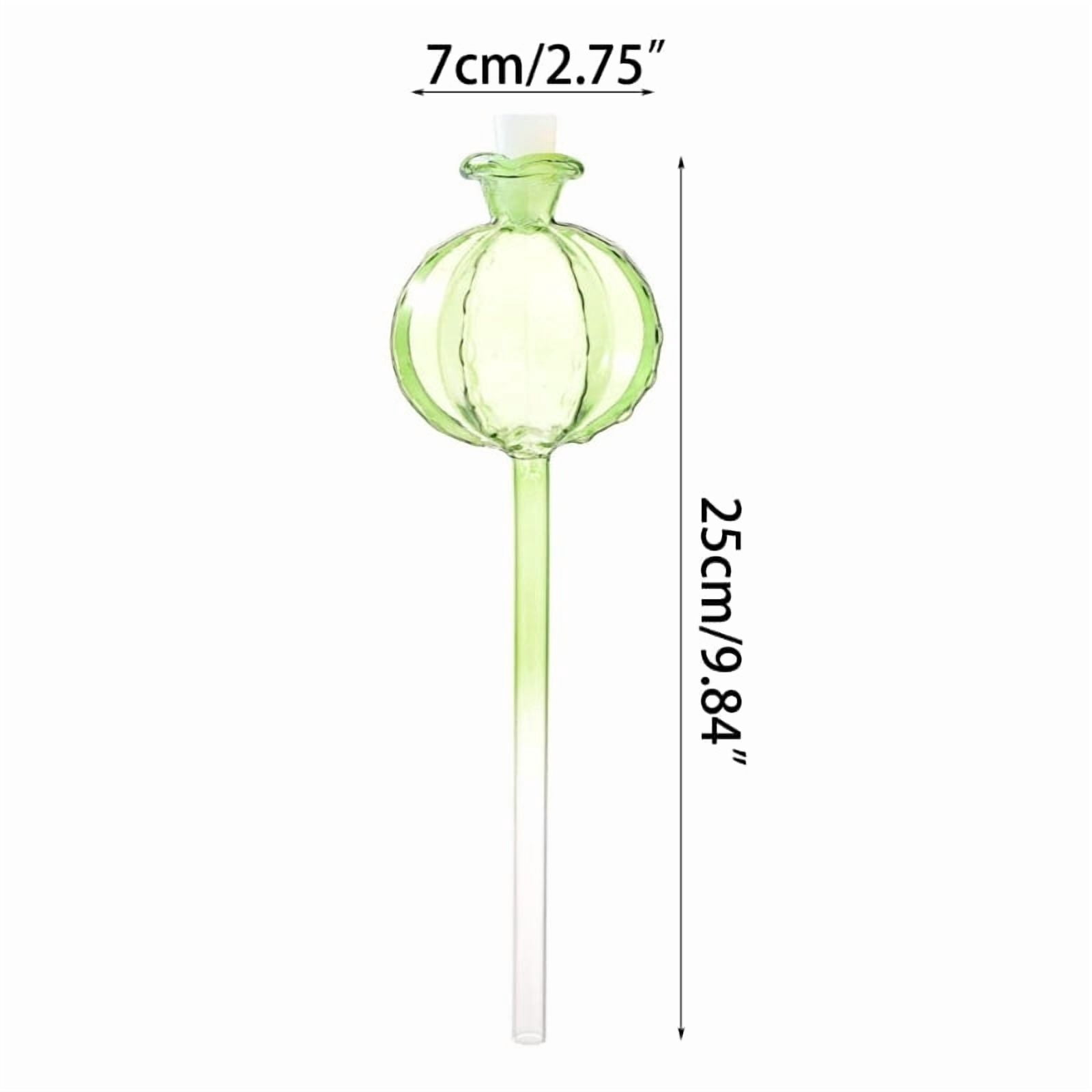 Zecic 3xPlant Self Watering Ball Water Bulbs Drip Irrigation System for Indoor Potted
