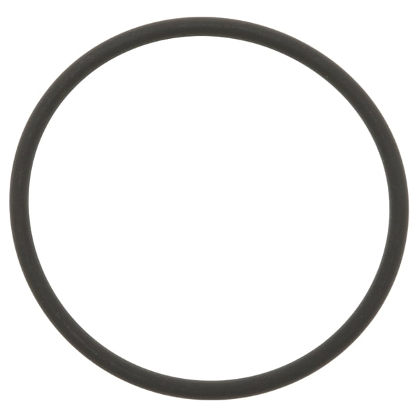Exhaust Gas Recirculation (EGR) Valve Gasket