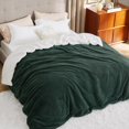 thumbnail image 1 of 90x90 Sherpa Queen Blanket Winter Inch, 1 of 5