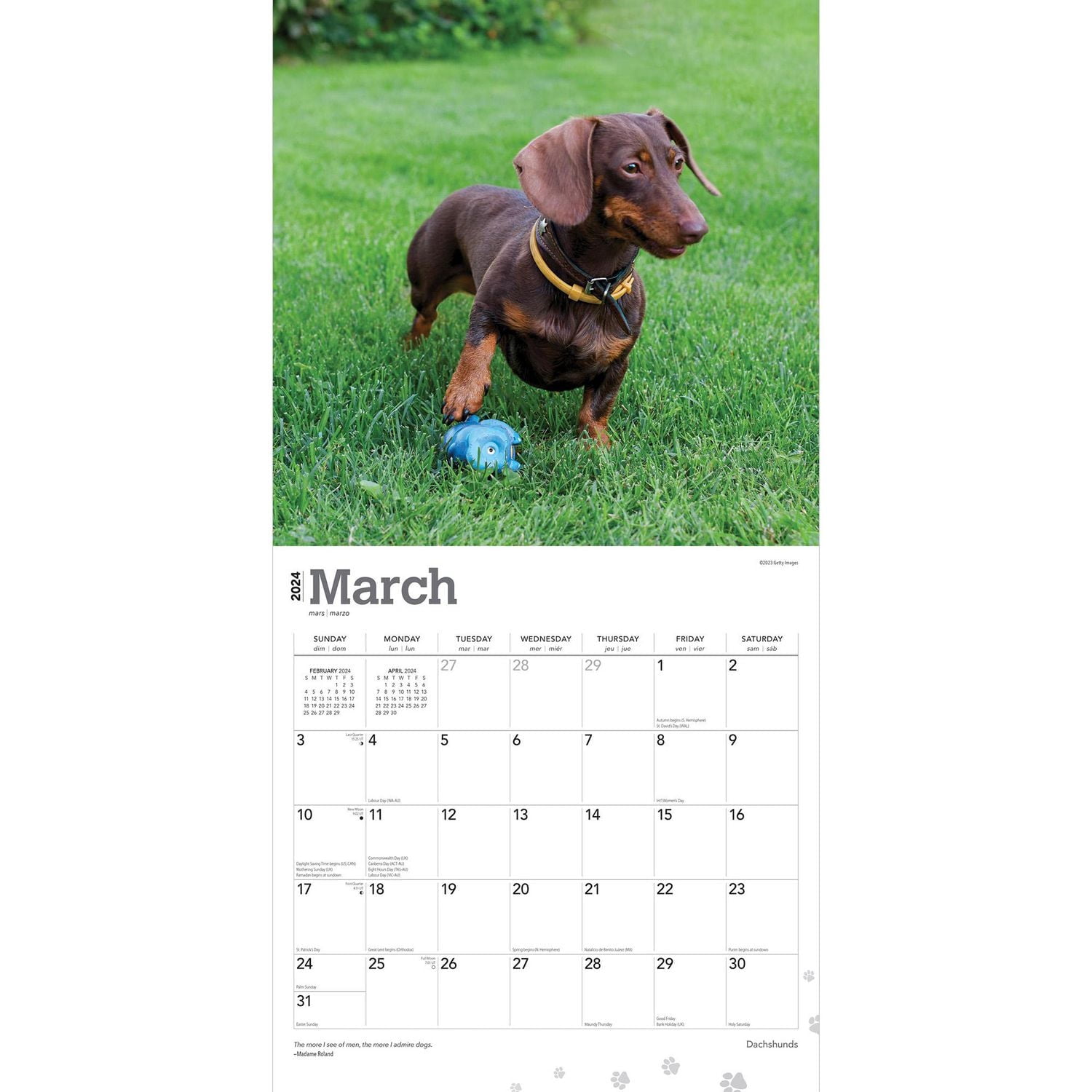 BrownTrout Dachshunds 2024 12x24 Inch Square Wall Calendar, 9781975462550