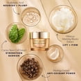 thumbnail image 3 of Crema hidratante Estée Lauder Revitalizing Supreme+ SPF 25 50 ml, 3 of 4
