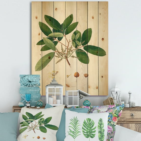 Designart 'Ancient Botanicals II' Farmhouse Print on Natural Pine Wood