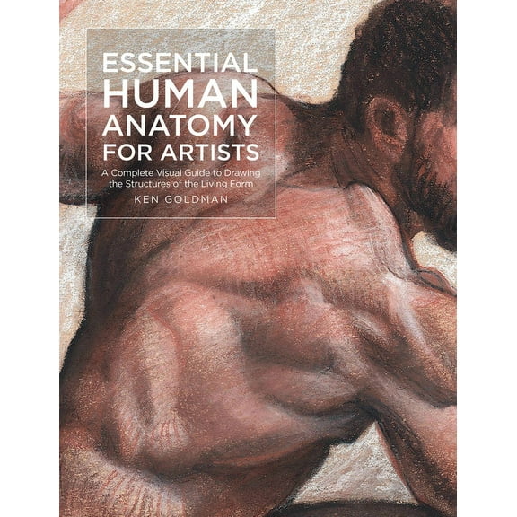 For Artists Essential Human Anatomy for Artists: A Complete Visual Guide to Drawing the Structures of the Living Form, Book 9, (Paperback)