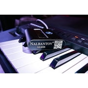 Nalbantov MidiRIB MIDI Ribbon Controller suitable for Oberheim with a MIDI interface black or silver