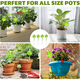 thumbnail image 4 of Globos de riego para plantas (paquete de 4) con autorriego para plantas de interior y exterior. Bulbos de riego automático., 4 of 8