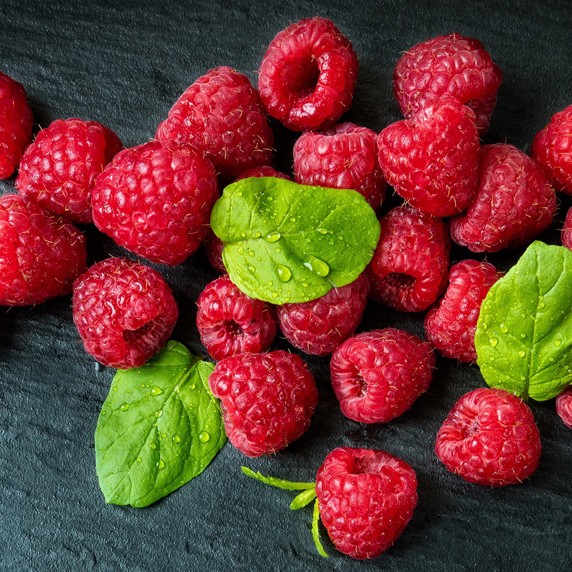 Expert Gardener Raspberry Crimson Treasure Live Shrub (1 Gallon)