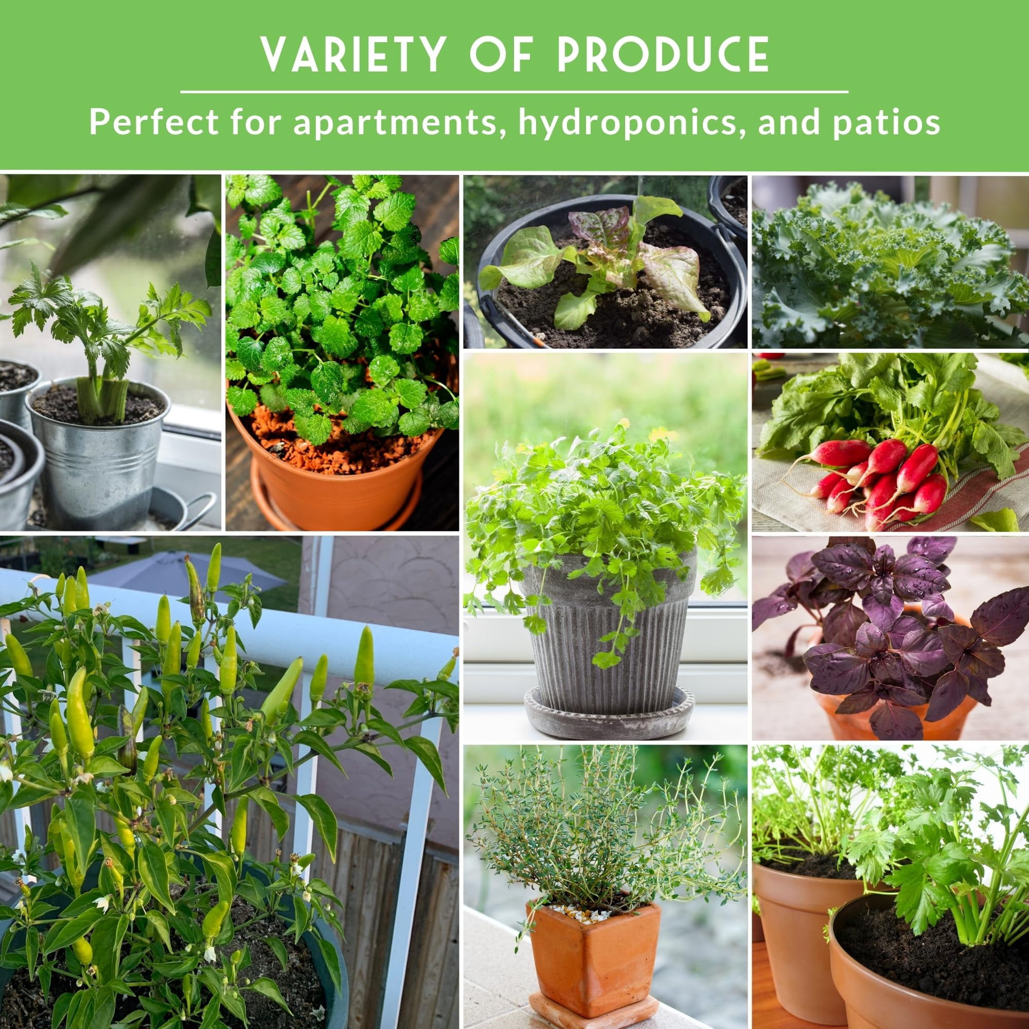20 Pack Apartment Seed Kit - Heirloom Vegetable Seeds - Container Friendly Part & Full Sun Annuals