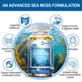 thumbnail image 5 of ZHPHK Seaweed Capsules High Strength Thyroid Body Supplement Potassium and Iodine 120 Capsules, 5 of 7