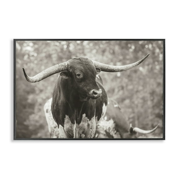 Stupell Industries Longhorn's Gaze Photography Animals Photography Black Framed Art Print Wall Art, 18 x 12