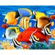 thumbnail image 1 of Taladro diamante pintura (DE4241) 5D DIY completo colorido pescado punto de cruz bordado 30x40cm Hugtrwg Para estrenar, 1 of 1