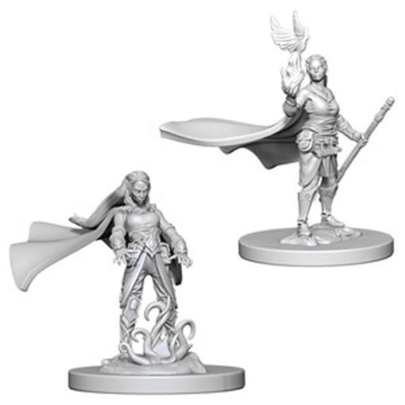 Dungeons & Dragons Nolzurs Marvelous Miniaturess of Elf Female Druid W4