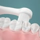 thumbnail image 4 of Cepillo de dientes para bebés Cepillo de dientes para bebés Cepillo de dientes para niños pequeños Cepillo mordedor Cepillo para el cuidado de los dientes del bebé Rosa, 4 of 5