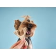 thumbnail image 2 of BetterBone Soft Classic, Mini, 2 of 6
