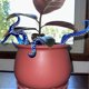thumbnail image 3 of ExquisiteOctopus Tentacle Plant Stakes, Set of 7 Resin Sea Monster Tentacles for Planters, Nature & Outdoors Themed Garden Decorations, 3 of 5